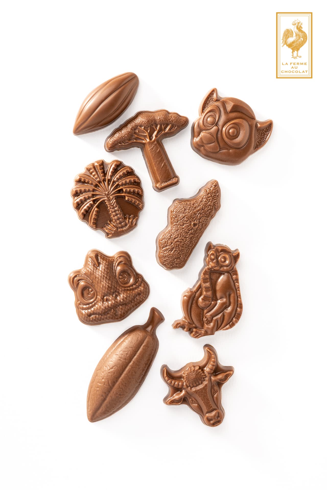 Sculptures en chocolat au lait — le travail d'orfèvre de Grégoire